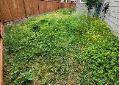 Professional Landscaping