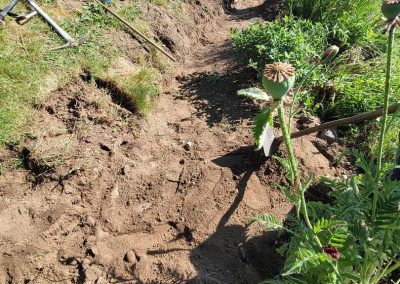 Reliable Landscaping