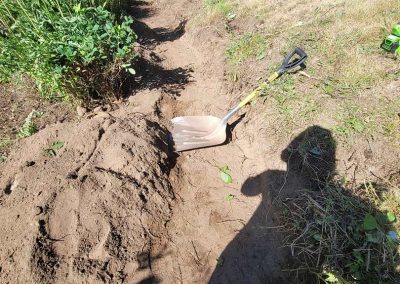 Reliable Modern Front Yard Landscaping