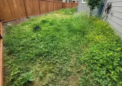 Dependable Landscape Designer