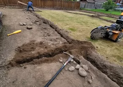 Professional Modern Front Yard Landscaping