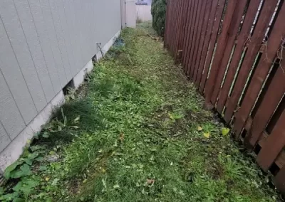Professional Modern Front Yard Landscaping