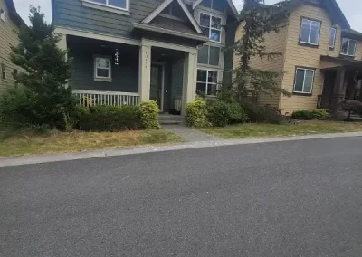 Professional Modern Front Yard Landscaping