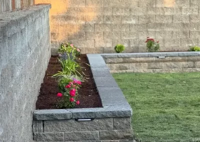 Professional Modern Front Yard Landscaping