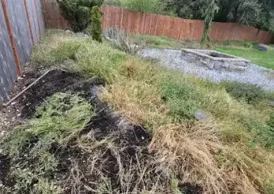Professional Modern Front Yard Landscaping