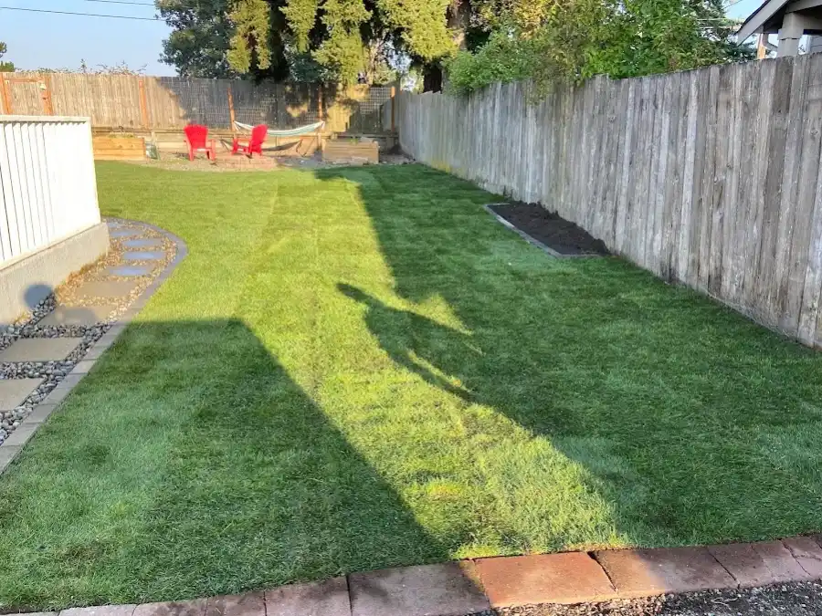 Yard Cleanup