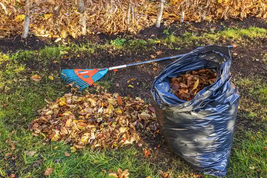 Experienced Yard Cleanup Belfair, WA Experienced Yard Cleanup Belfair, WA