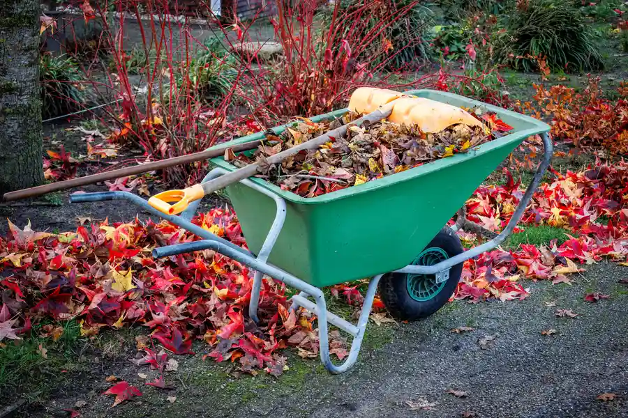 How Removing Debris Benefits Your Landscape Belfair, WA How Removing Debris Benefits Your Landscape Belfair, WA