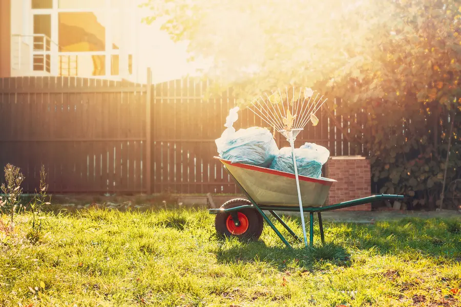 How Removing Debris Benefits Your Landscape in Belfair, WA How Removing Debris Benefits Your Landscape in Belfair, WA