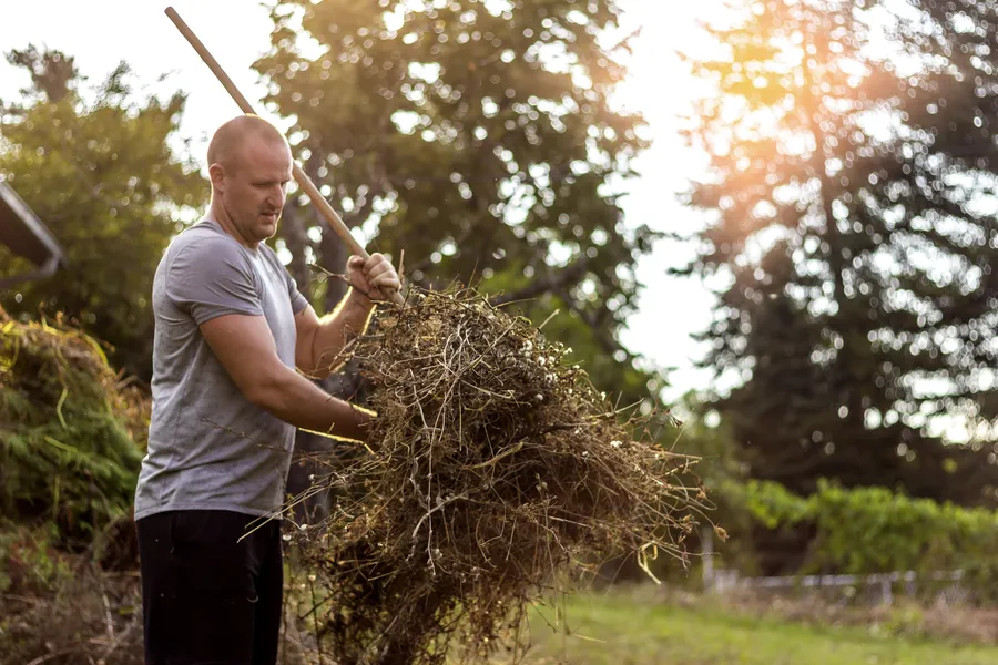 Signs Your Property Needs Professional Yard Cleanup Belfair, WA Signs Your Property Needs Professional Yard Cleanup Belfair, WA