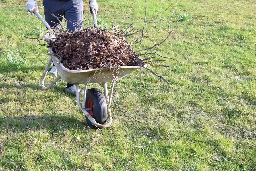 Signs Your Property Needs Professional Yard Cleanup in Belfair, WA Signs Your Property Needs Professional Yard Cleanup in Belfair, WA
